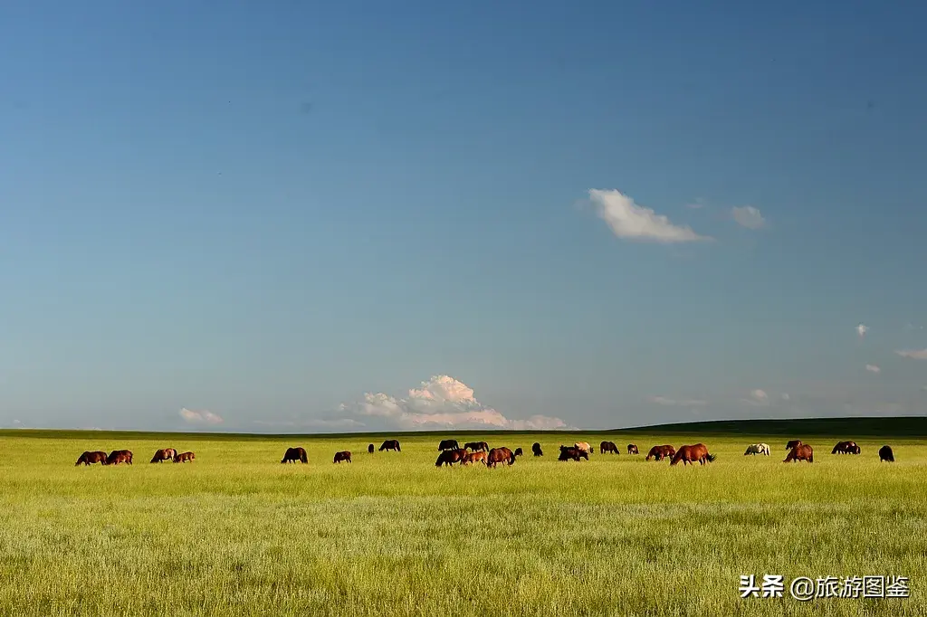 亚洲草原天堂-天堂草原——希拉穆仁