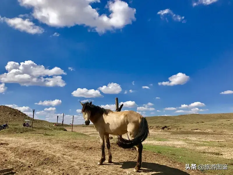 亚洲草原天堂-天堂草原——希拉穆仁