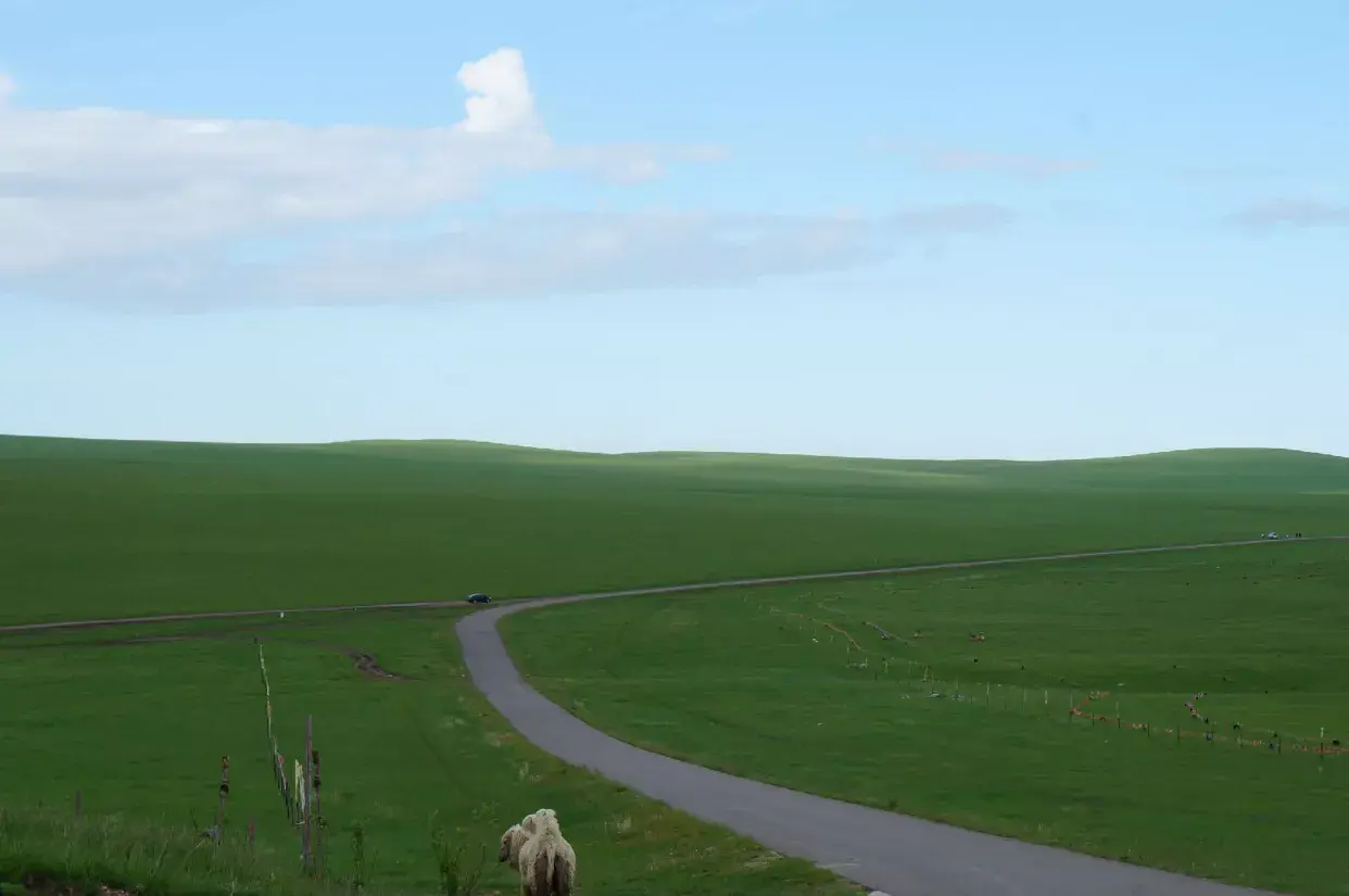 亚洲草原天堂-呼伦贝尔大草原:远离城市喧嚣的天堂草原